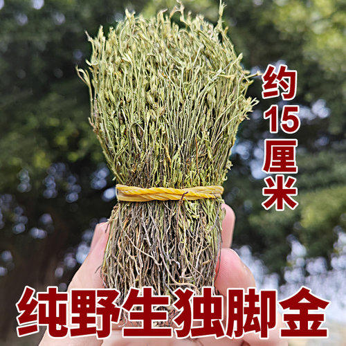 纯正广西野生独脚金小孩消疳积草