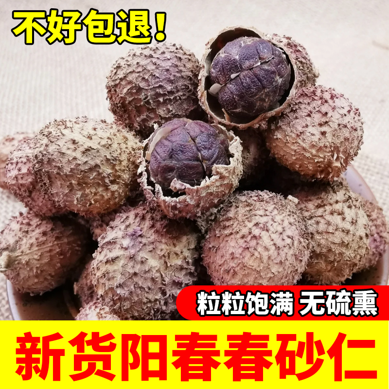 正宗特级阳春春砂仁中药材野生大果仁广东特产阳春砂煲炖汤料100G