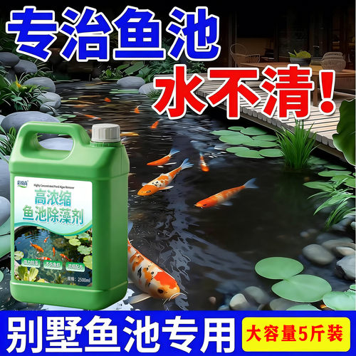 鱼池绿水不用愁！不伤鱼虾的除藻