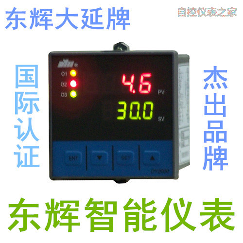 东辉大延仪表DY2000系列DY21AI0w6P PID调节器DY29AI06P DY29AI16