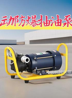 220V380V大流量防爆抽油泵输油加油泵柴汽油自吸滑片泵叶片导油泵