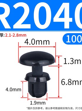 尼龙铆钉R3035R3045R3065R3075R3080R3090R3100R3545R60R3570卡扣