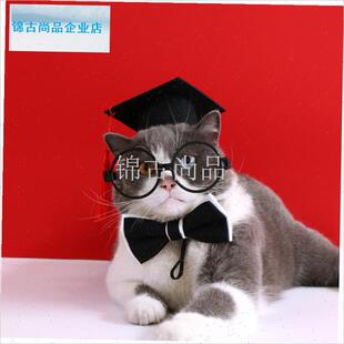 物拍摄博士帽毕业套装猫咪狗狗生D日领结小狗学士帽装扮道具搞笑.