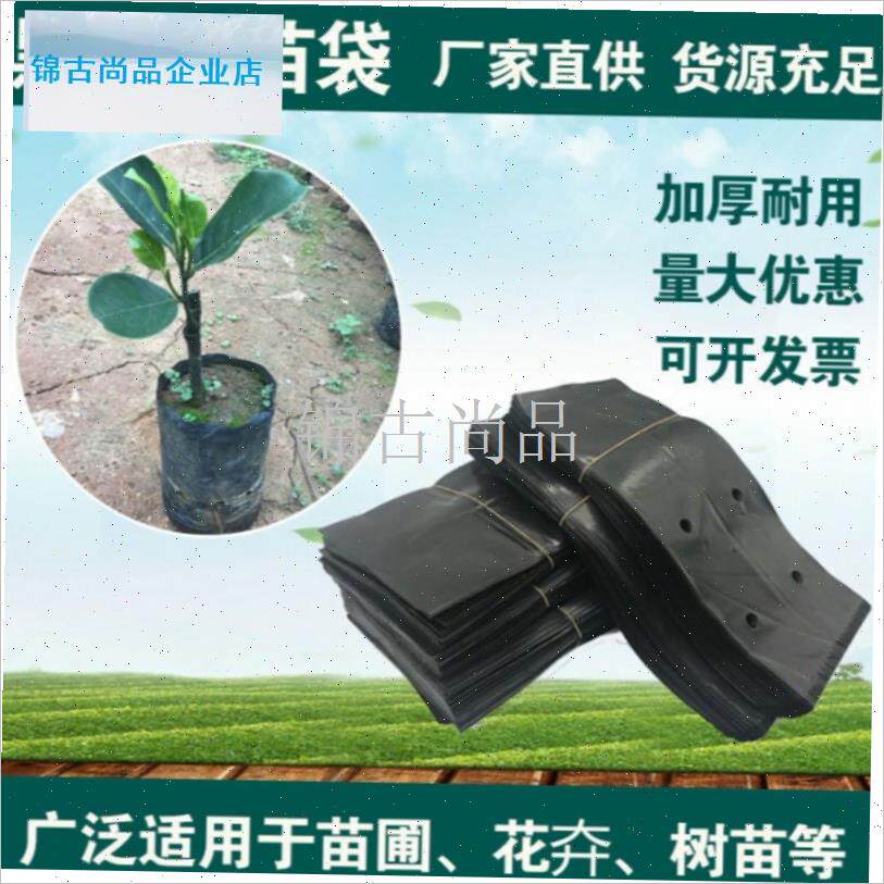 苗袋桉树水果育苗袋槟榔营养z袋黑色一次性加厚种植袋营养袋.