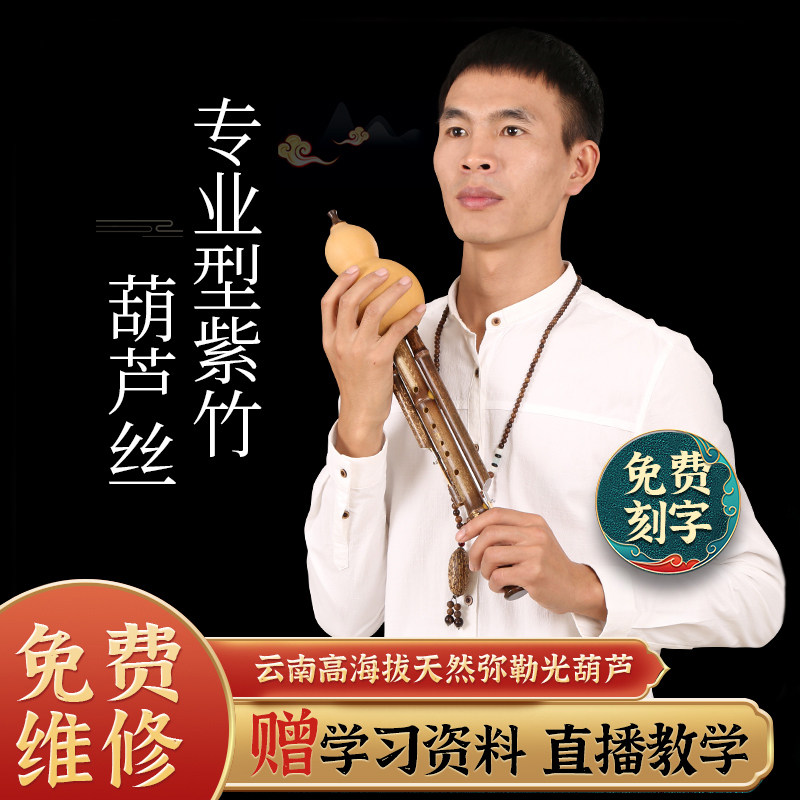 专业演奏型葫芦丝乐器降B调C调小DAGF调成人小朋友滇南古韵旗舰店