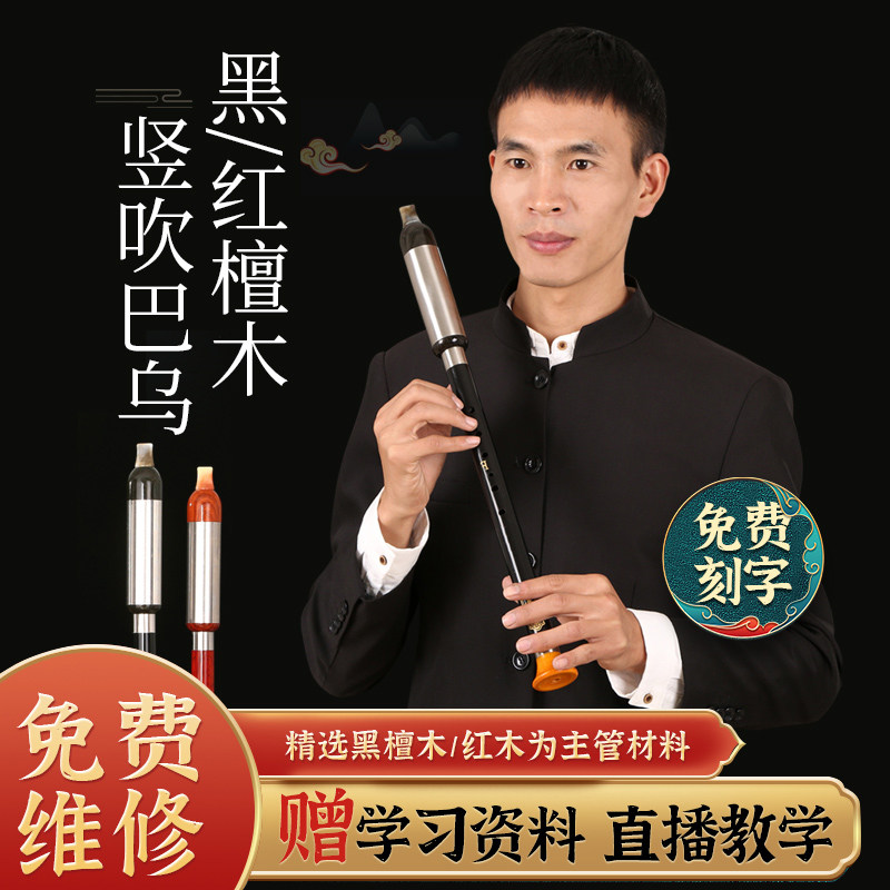 黑木竖吹巴乌乐器小学生专用c调g调降b调DAF调成人儿童初学旗舰店,乐器/吉他/钢琴/配件,巴乌,淘宝优惠券,粉丝福利购,淘宝优惠卷