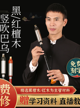 黑木竖吹巴乌乐器小学生专用c调g调降b调DAF调成人儿童初学旗舰店