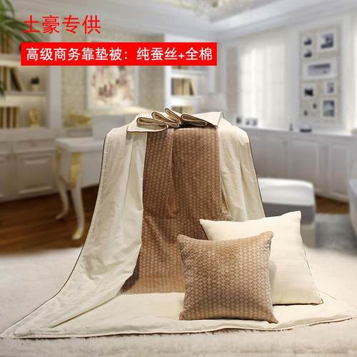 蚕丝汽车抱枕被子两用车内汽车车载全棉纯棉午睡靠垫多功能夏凉被