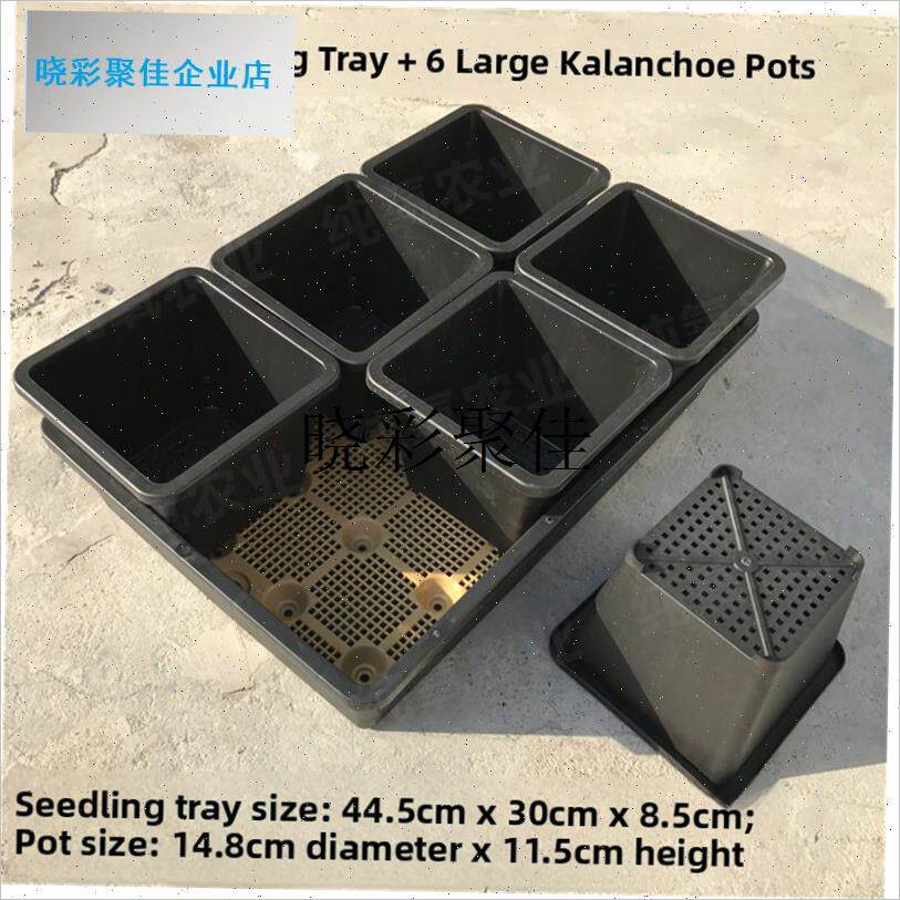C02 多肉花盆蓄水盘托盘育苗盘塑料方盆彩方小黑T方 育苗盒 整理l