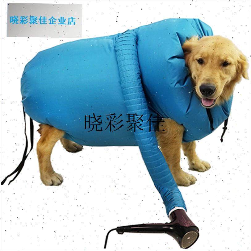 宠物烘干箱大型犬狗狗吹毛神器烘干机家用吹风神器W洗澡固定金毛l