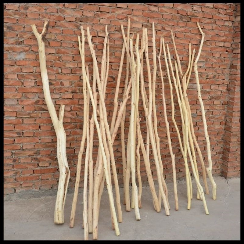 去皮干树枝原木枯树枝造型树干挂毯纱幔木棍天然木头挂衣杆干树叉