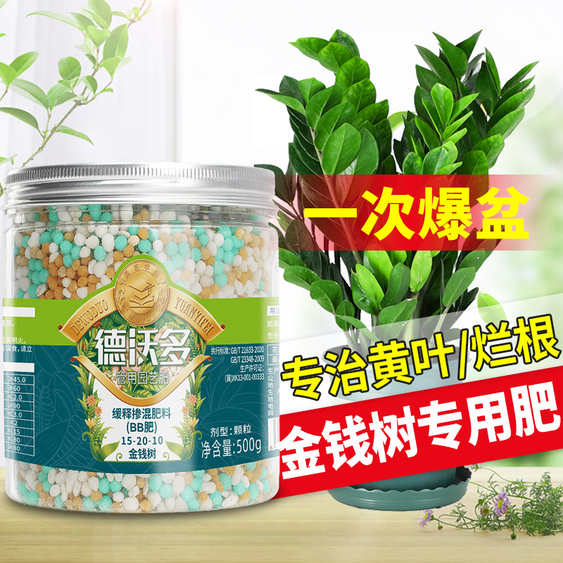 金钱树肥料专用肥幸福树室内专用花肥家用土水培绿植物盆栽通用型