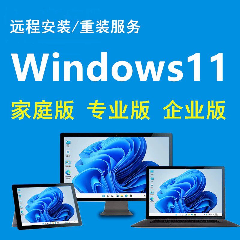 远程在线安装系统电脑系统重装win7/8/10/11纯净版重置升级做系统
