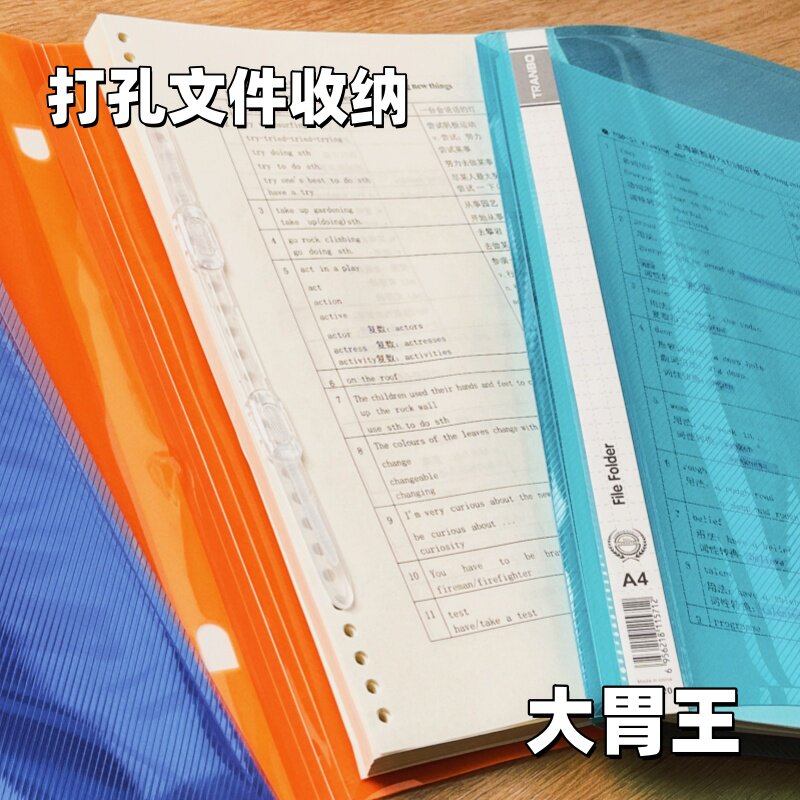 活页两孔文件夹彩色透明A4文件夹办公资料夹学生试卷夹PP文件夹