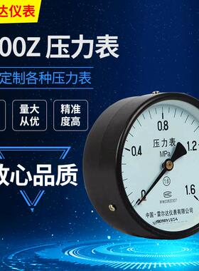 压力表Y100Z 轴向不带边水压表油压表 雷尔达普通压力表气罐气瓶
