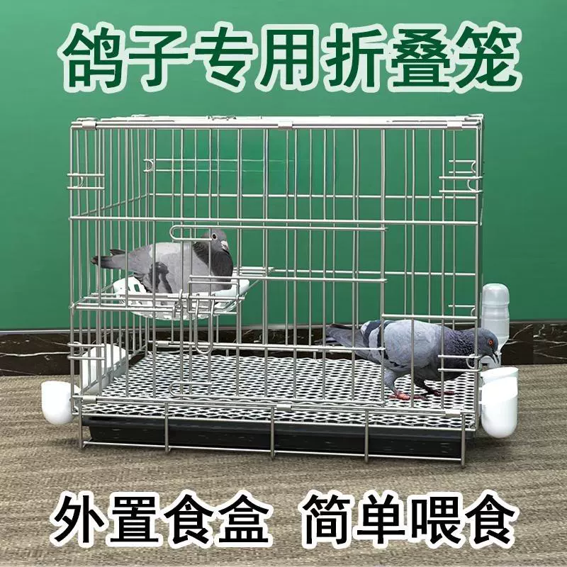 鸽子笼养鸽子专用笼养殖笼家用繁殖笼配对笼大号新型鸽舍鸽子笼子