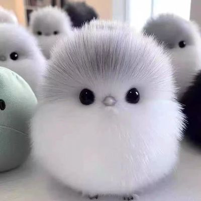 小鸟毛绒玩偶小肥啾玩具生日礼物