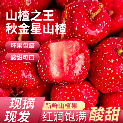 直接吃的甜山楂果