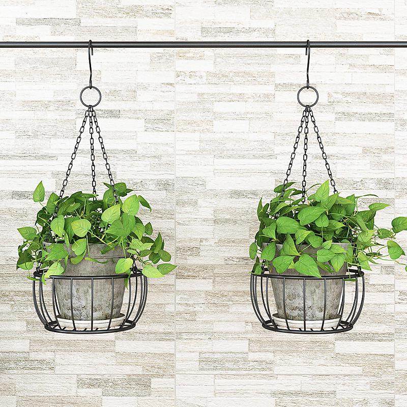 铁艺垂吊挂篮吊篮 悬挂式吊盆 吊挂花架 绿萝吊兰盆挂架 挂式花盆,鲜花速递/花卉仿真/绿植园艺,花架,淘宝优惠券,粉丝福利购,淘宝优惠卷