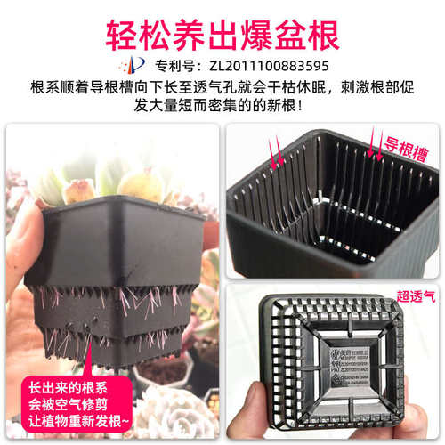 美莳多肉的花盆长方形套装组合树脂透气控根塑料植物专用和营养土