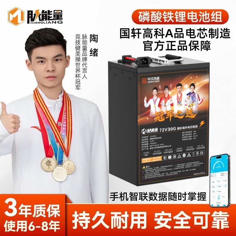 72V25Ah磷酸铁锂电池全新