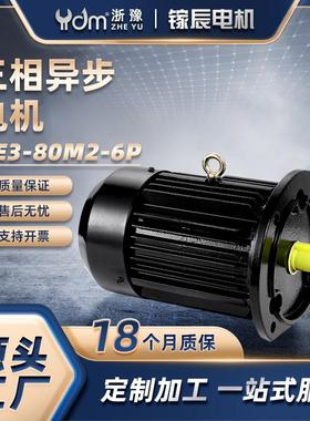 YE3-80M2-6P三相异步电机低噪音0.55KW纯铜380V交流马达黑色