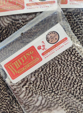 现货整张蓑羽毛中号P级B级格里菲斯飞蝇钩毛钩绑制材料进口WHITIN