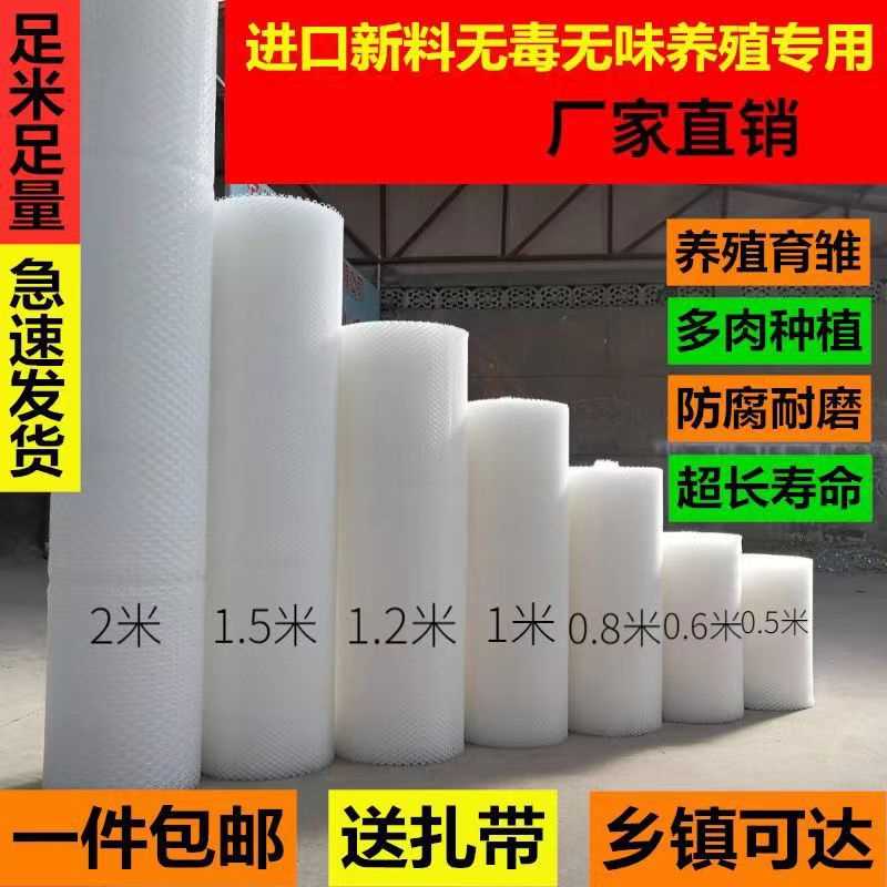 养殖塑料平网防护阳台防坠网格育雏漏鸡鸭鹅蜂蚕胶网漏粪网