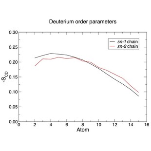 膜蛋白的分子动力学模拟蛋白模型构建分子对接基因家族