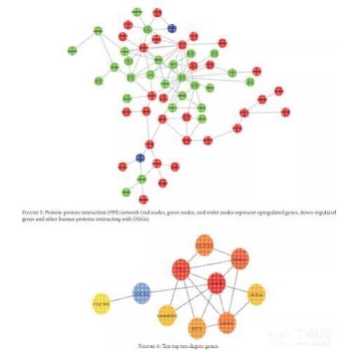 网络药理学生信sci 分子对接中药复方 生信分析服务 医学科研