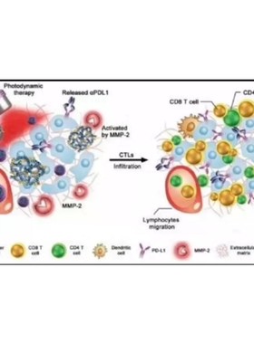 r语言代做python数据分析深度机器学习算法经济金融统计stata实证