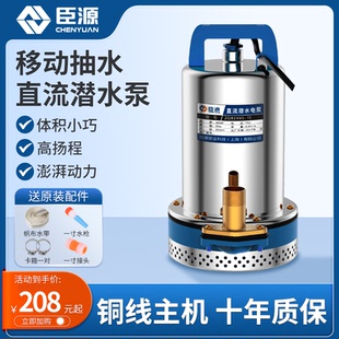 直流潜水泵48v60v抽水泵12V24V伏家用电瓶车小型电动车农用抽水机