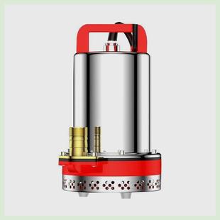 直流潜水泵浇菜12V24V48V60V种田农用船用直流泵电瓶电动车抽水机
