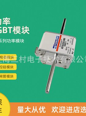 全新熔断器保险丝A070UD33LI1000 R300234 A070UD33LI1100S300235