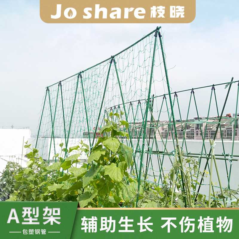 枝晓 种菜支架A架 家庭园艺包塑钢管爬藤架带网瓜果蔓生植物