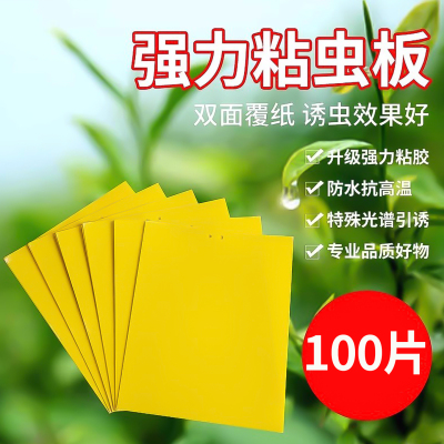 粘虫板诱捕器诱虫板贴纸农用家用