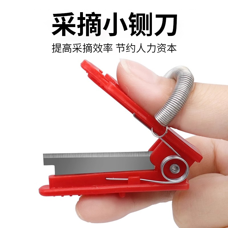 手指采摘农用小剪刀黄瓜掐尖