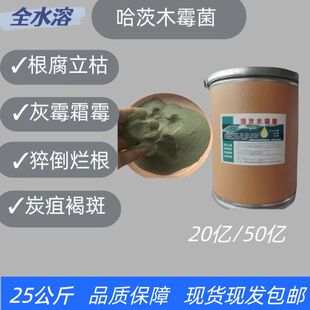 50亿哈茨木霉菌抗重茬番茄辣椒叶斑病霜霉病立枯病防根腐