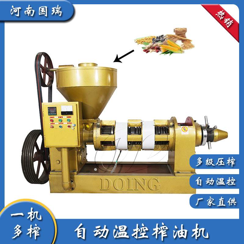 自动温控花生榨油机 缩短预热时间减少能耗和机器磨损的控榨油机