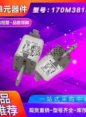 伊顿巴斯曼熔断器170M系列170M3688170M3738保险丝现货供应