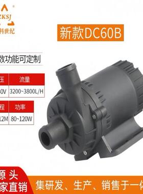 ZKSJ新款60B扬程12米流量3800L/H120W电动汽车冷水机冷却循环泵