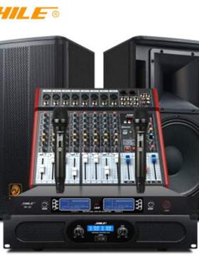 狮乐 AV-2011D/BX-112 专业舞台演出音响12寸会议室音响套装