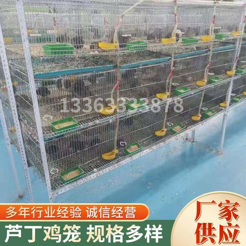 芦丁鸡笼供应镀锌小型鸡笼侏儒鸡笼养殖小型鸟类自动化养鸡笼,清洗/食品/商业设备,风口/风叶/风机配件,淘宝优惠券,粉丝福利购,淘宝优惠卷