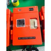 HAT86防爆电话站HDB 2防爆电话机扩音电话机