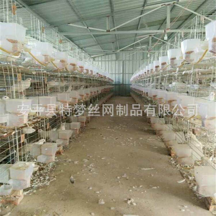 鸽笼12位鸽子笼子鸽笼配件鸽笼4层鸽笼全套