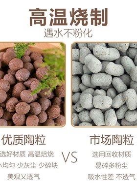 陶粒垫底陶粒养花专用回填陶粒土花盆彩色建筑多肉水培种花铺面大