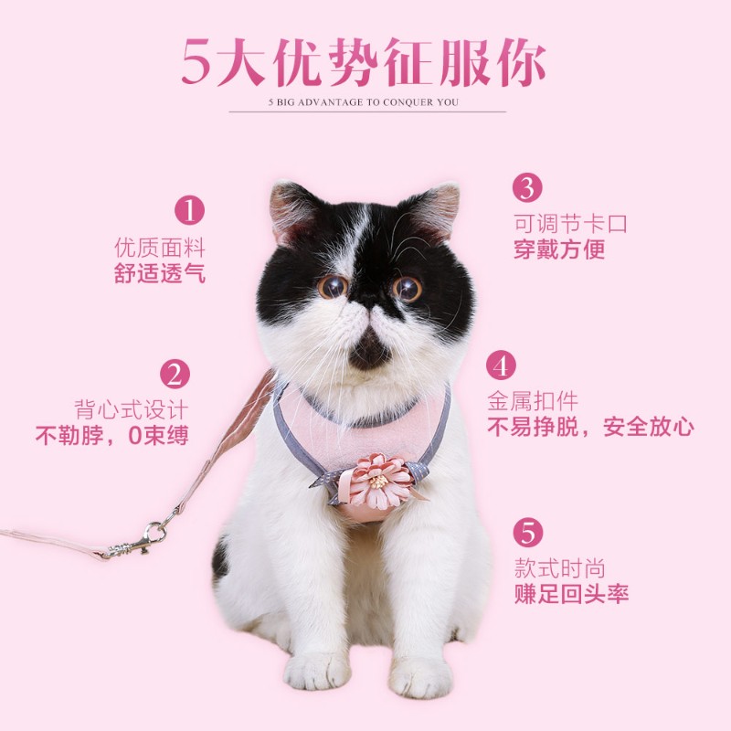 猫咪牵引绳防挣脱胸背带背心式家用狗狗链子遛狗遛猫神器宠物用品