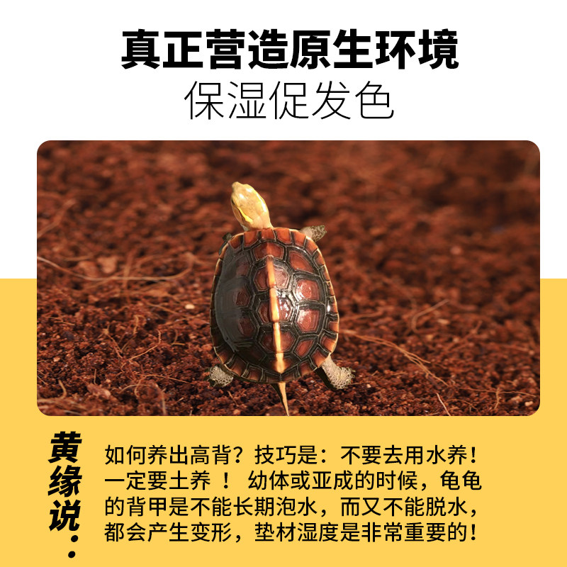 黄缘龟爬宠垫材无菌腐殖土蜥蜴角蛙半水龟陆龟饲养箱造景专用椰土 - 实物图