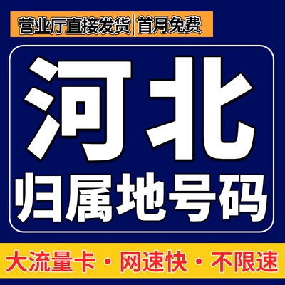 河北省归属地大流量无卡限量5g全国通用学生上网卡电话手机流量卡