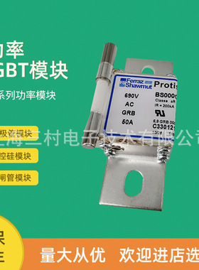 全新熔断器保险丝DN000UB69V200 P330040 DN000UB69V250 Q330041